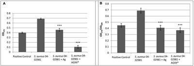 A Novel Antimicrobial Coating Represses Biofilm and Virulence-Related Genes in Methicillin-Resistant Staphylococcus aureus